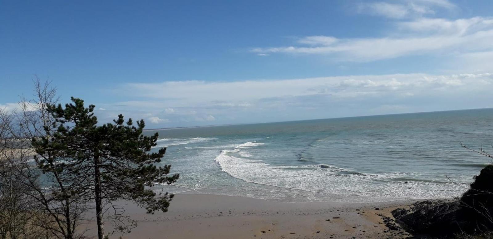 Les Sables D'Or - Joli T3 200M De La Plage Barneville-Carteret Exterior foto